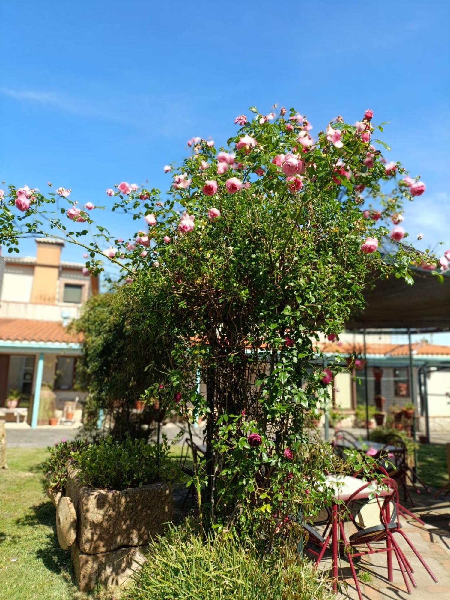 Casa Rural Del Corral Malpartida De Plasencia Esterno foto